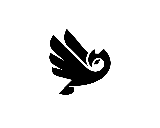 Flying owl